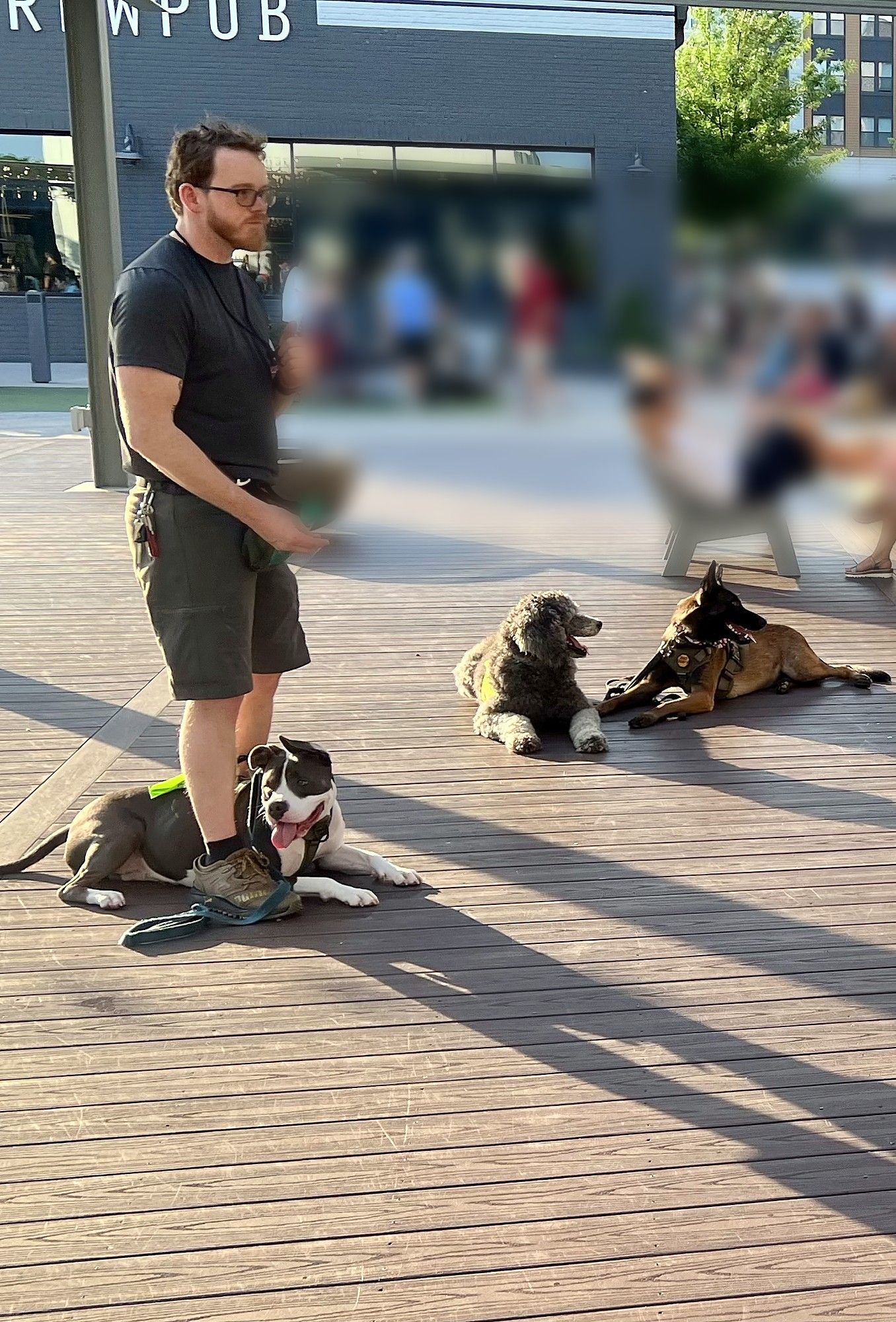 Phillip standing on a plaza deck with three dogs lying calmly around him during a community outing