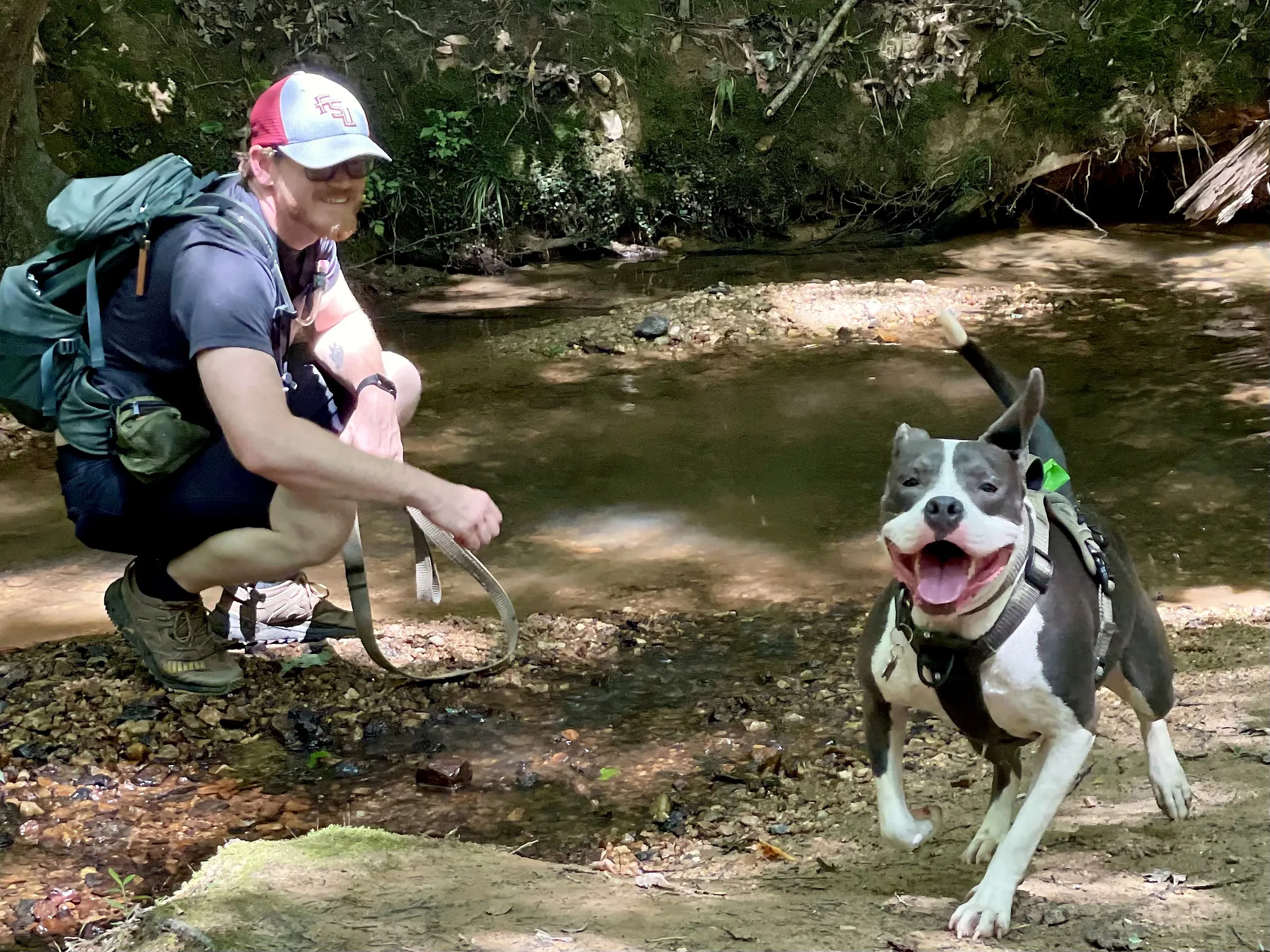 Phillip crouched beside a shallow creek holding a leash while Lucky, a gray-and-white pit bull, runs toward the camera.